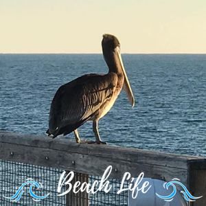 Meet your Posher, Rachael